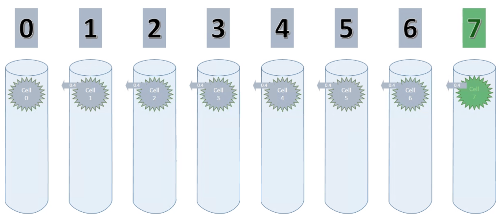 Cycle 1 Step 8 in the animation