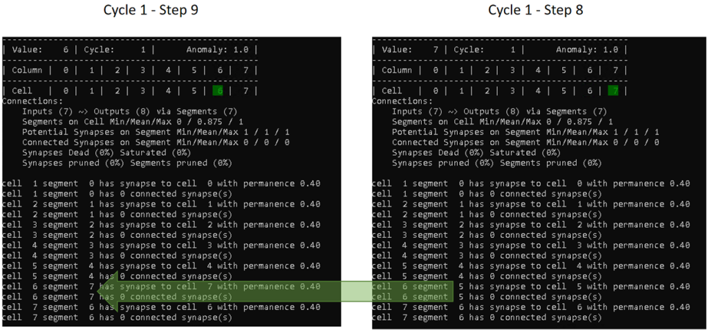 Cycle 1 - Step 8 and 9