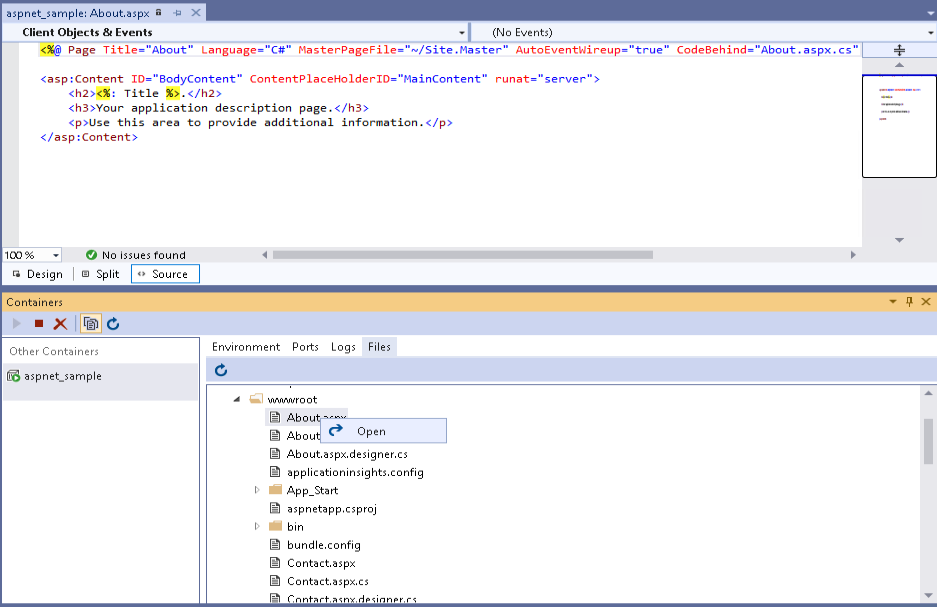 Directly browsing the containers folder structure in visual studio